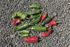 Lanzarote, Kanárské ostrovy