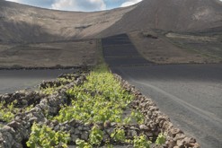 Lanzarote, Kanárské ostrovy