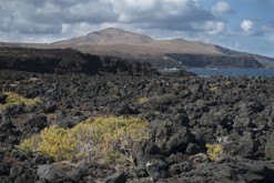 Lanzarote, Kanárské ostrovy