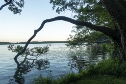 Odense, Middelfart, Vejle, Billund (červen 2019)