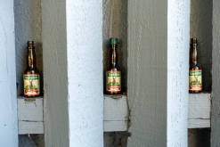 Odense, Middelfart, Vejle, Billund (červen 2019)