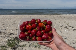 Odense, Middelfart, Vejle, Billund (červen 2019)