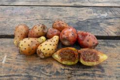 Antibes - Italsko-francouzská riviéra (srpen 2019)