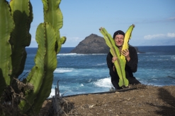 Tenerife