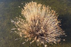 Jezero Milada - duben 2020