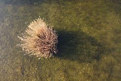 Jezero Milada - duben 2020