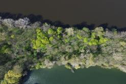 Žernosecké jezero - duben 2020