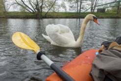 Brozany nad Ohří - duben 2020