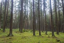 Vyšší Brod, Český Krumlov - červenec 2020