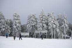 Klínovec - leden 2020