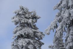 Klínovec - leden 2020