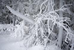 Klínovec - leden 2020