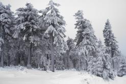 Klínovec - leden 2020