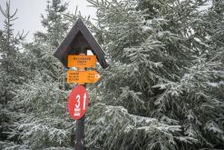 Klínovec - leden 2020