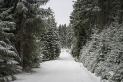 Klínovec - leden 2020