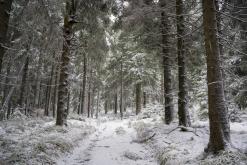 Klínovec - leden 2020