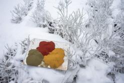 Klínovec - leden 2020