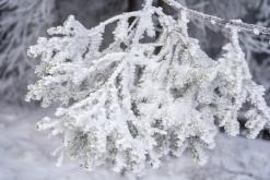 Klínovec - leden 2020