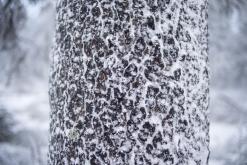 Klínovec - leden 2020