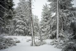 Klínovec - leden 2020