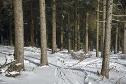 Klínovec - únor 2020