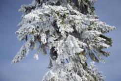 Klínovec - únor 2020