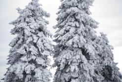 Klínovec - únor 2020