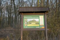 Zřícenina hradu Košťálov - březen 2020