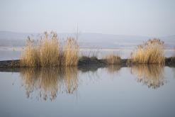 Jezero Milada - duben 2020