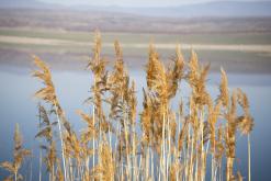 Jezero Milada - duben 2020