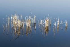 Jezero Milada - duben 2020