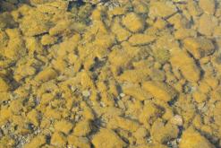 Jezero Milada - duben 2020