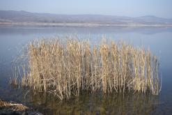 Jezero Milada - duben 2020