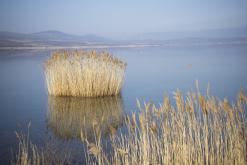 Jezero Milada - duben 2020