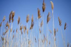 Jezero Milada - duben 2020