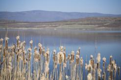 Jezero Milada - duben 2020