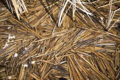 Jezero Milada - duben 2020