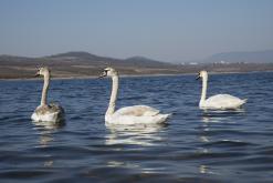 Jezero Milada - duben 2020