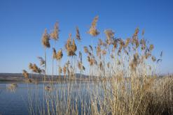 Jezero Milada - duben 2020