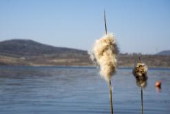 Jezero Milada - duben 2020