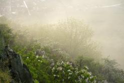 Hazmburk - květen 2020