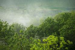 Hazmburk - květen 2020