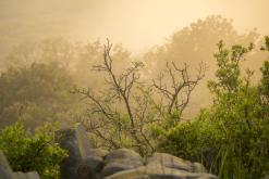 Hazmburk - květen 2020