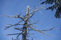 Klínovec - listopad 2020