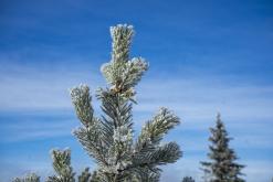 Klínovec - listopad 2020