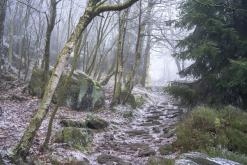 Děčinský Sněžník - prosinec 2020