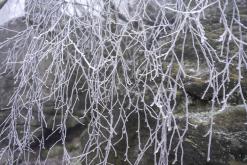 Děčinský Sněžník - prosinec 2020