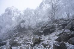 Děčinský Sněžník - prosinec 2020