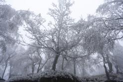 Děčinský Sněžník - prosinec 2020