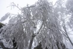 Děčinský Sněžník - prosinec 2020